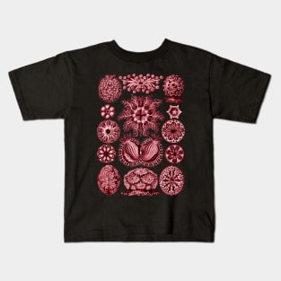 Ernst Haeckel  Ascidiae Sea Squirts Red Kids T-Shirt